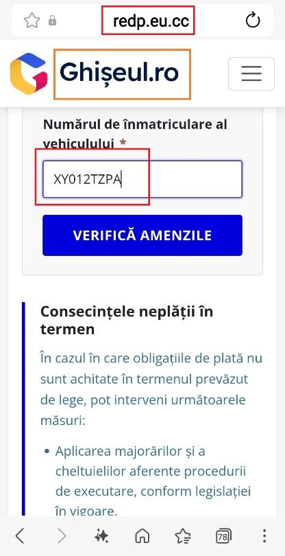Introducerea numărului fictiv XY012TZPA în câmpul de verificare