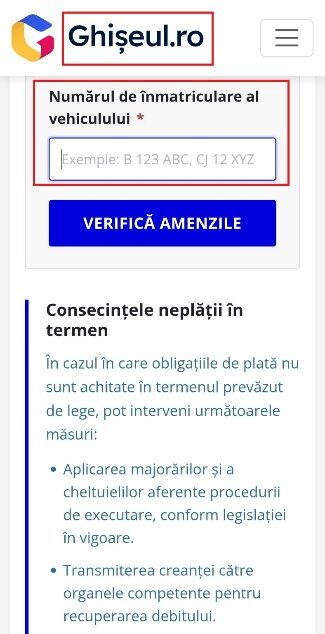 Câmpul pentru numărul de înmatriculare și butonul Verifică amenzile pe site-ul fals